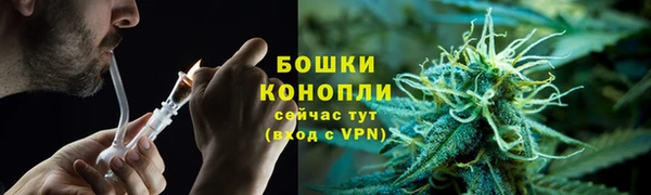 молекула духа Зеленокумск
