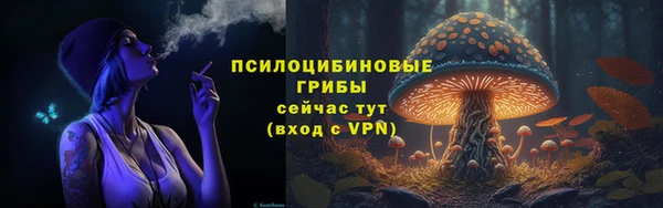 молекула духа Зеленокумск